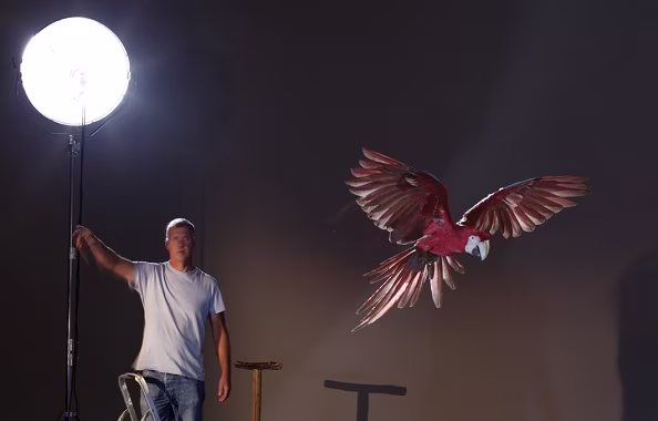 Flying parrot on set with Anthony Bloom